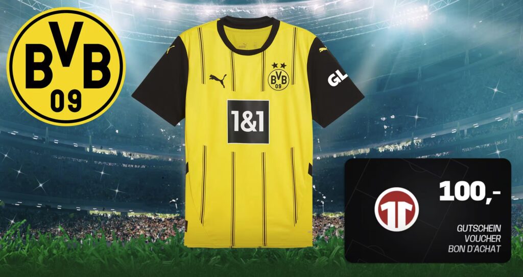 bvb-trikot-sky